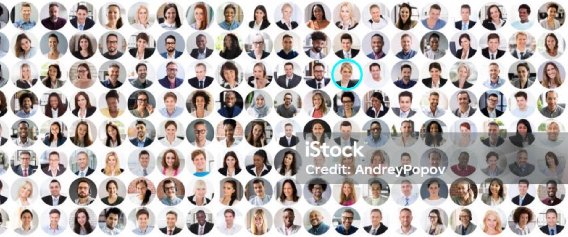 me animation, par qui?